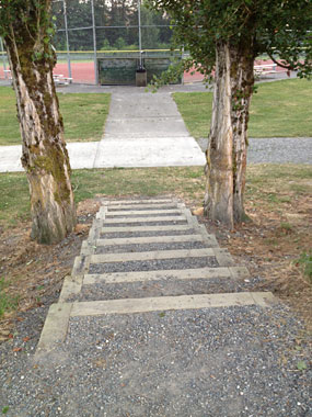 Fall City Park new steps 2014